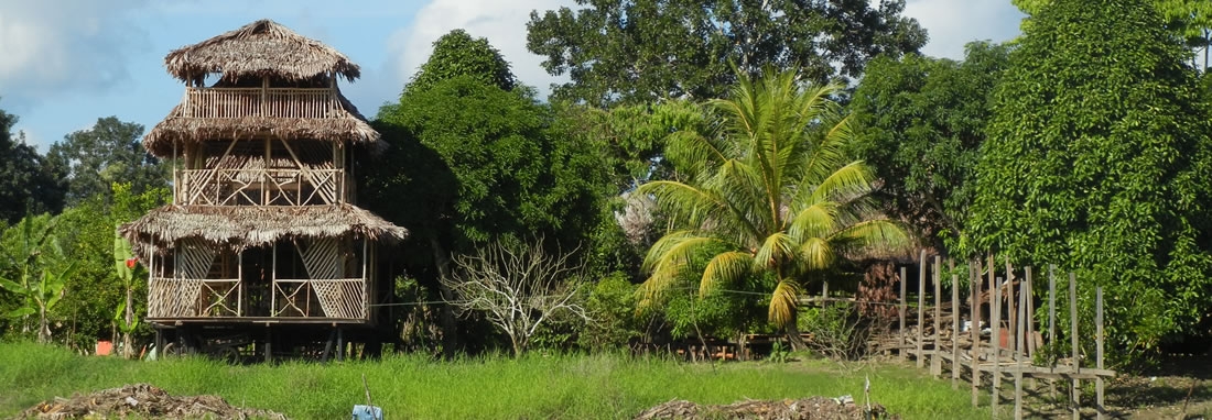 TUCAN – RIO AMAZONAS